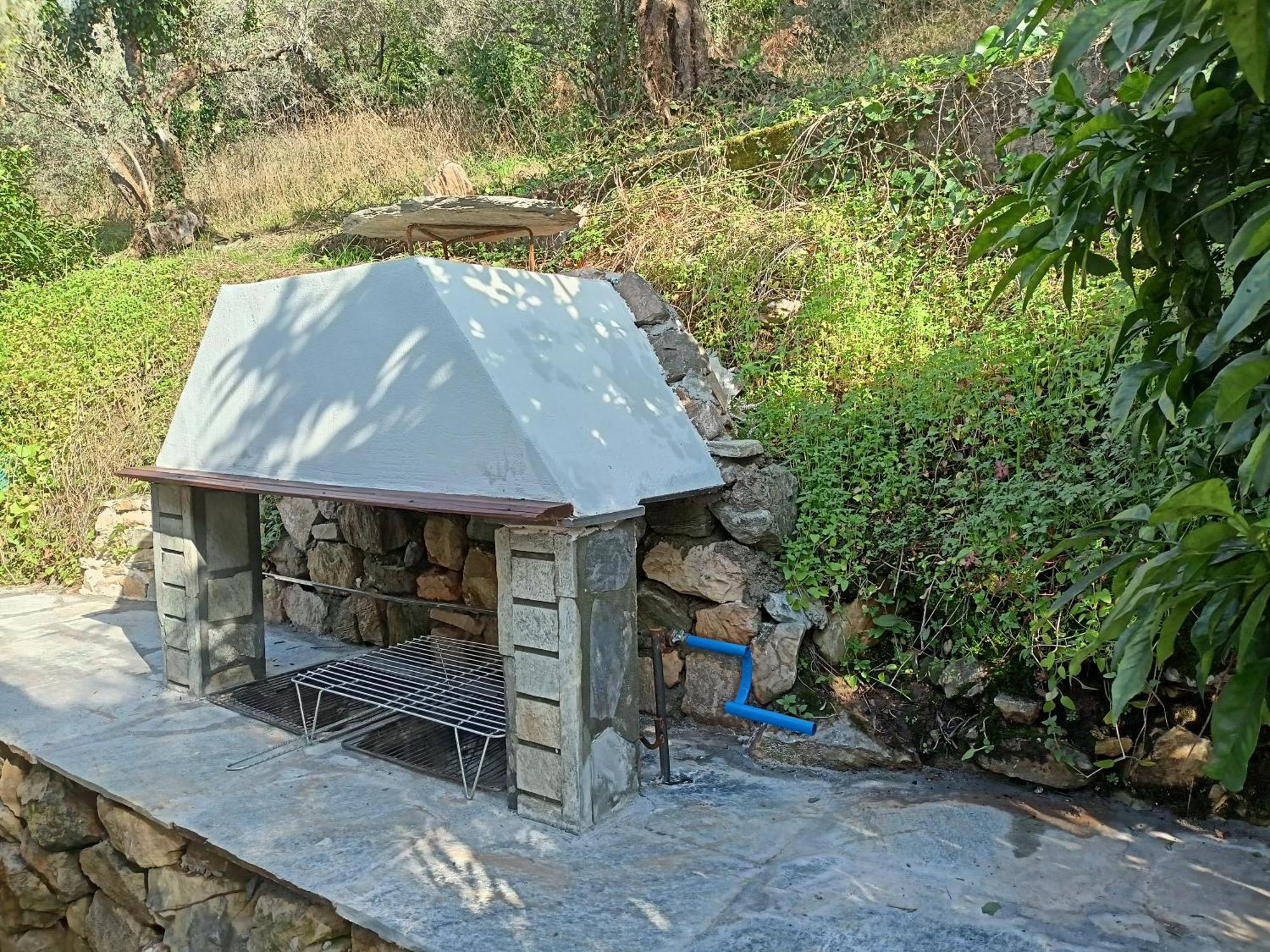 הוילה חורפטו Ελαιώνας - Solar Energy House מראה חיצוני תמונה